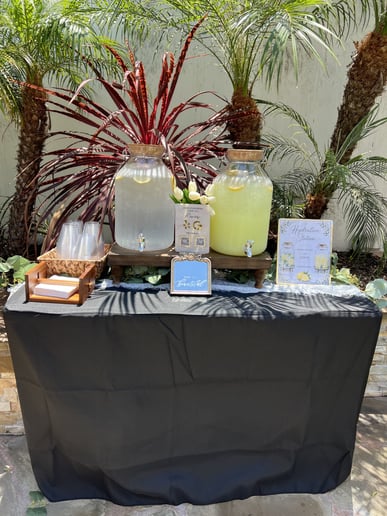 Gallery photo 6 of Sippin’ Oasis