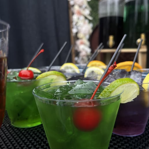 Gallery photo 2 of Sips Of Ambrosia Bartending