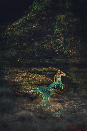 Gallery photo 8 of Siren Saor