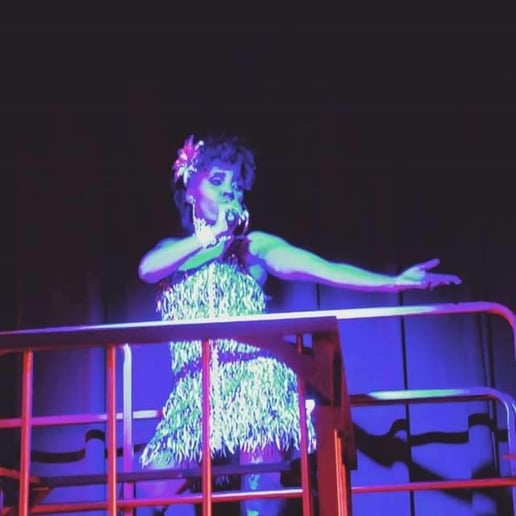 Gallery photo 3 of Siren the Entertainer's Music and Events