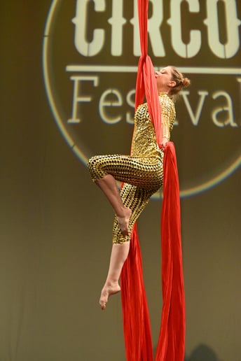Gallery photo 7 of Sky-High Keynotes and Performances