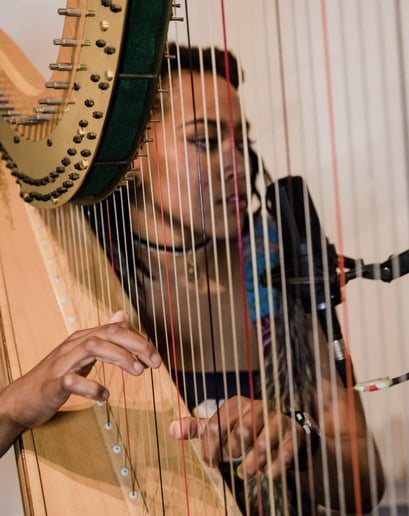 Gallery photo 4 of Sky Swans Harp Music