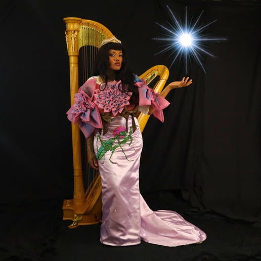 Gallery photo 4 of Sky Swans Harp Music