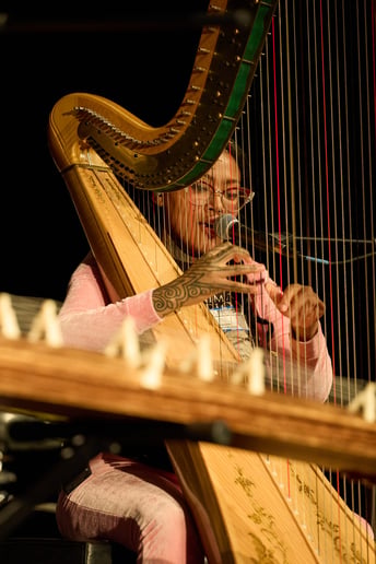 Gallery photo 5 of Sky Swans Harp Music