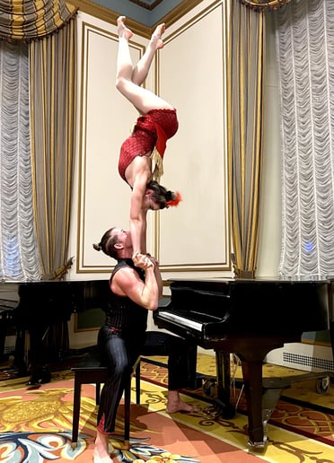 Gallery photo 3 of Skye Circus