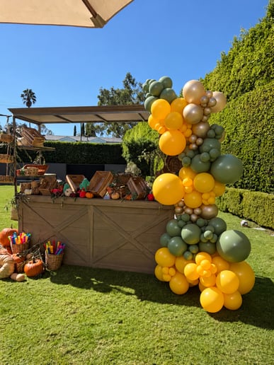 Gallery photo 3 of Sky’s Balloons