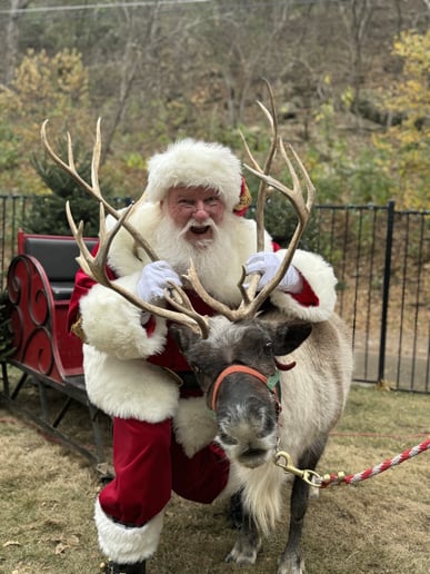 Gallery photo 3 of SleighRyder (Santa Wade)