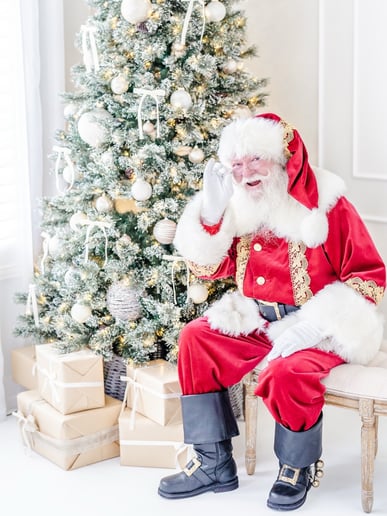Gallery photo 4 of SleighRyder (Santa Wade)