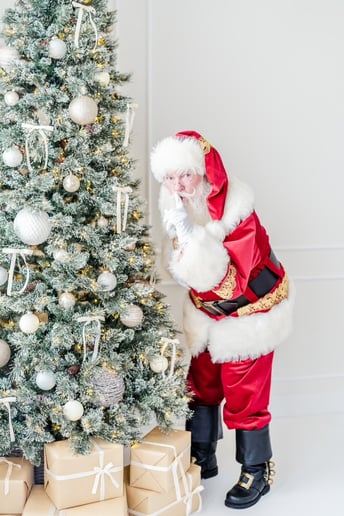 Gallery photo 5 of SleighRyder (Santa Wade)