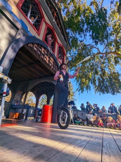 Gallery photo 5 of Slim Chance Circus