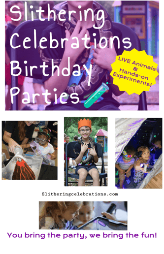 Gallery photo 1 of Slithering Science Celebrations