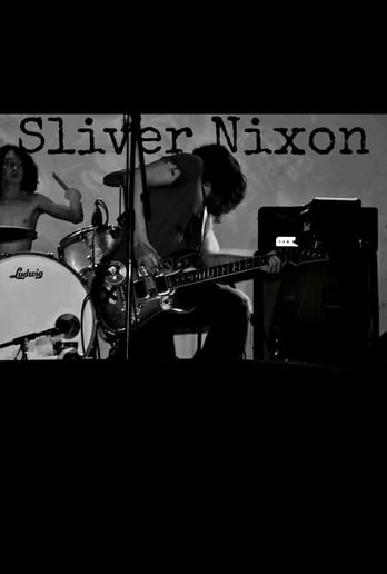 Gallery photo 1 of Sliver Nixon