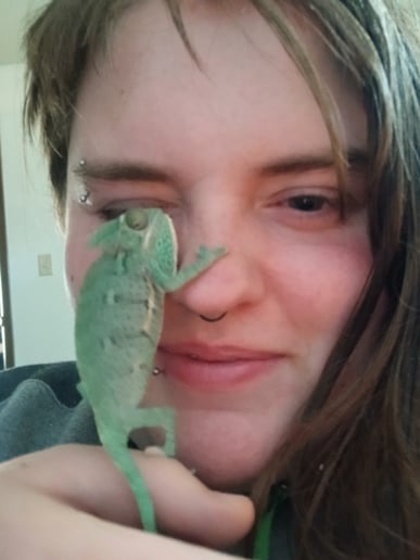 Gallery photo 6 of Chelsey's Small Reptile/Plant Presentation!