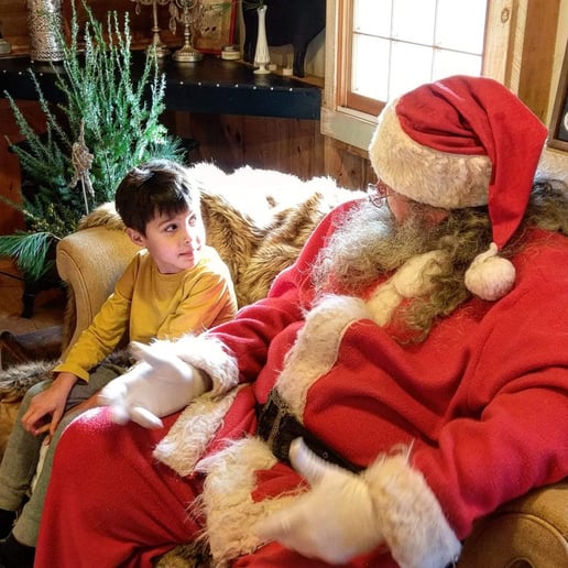 Gallery photo 7 of Smart Car Santa