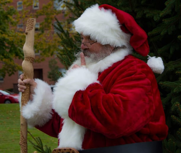 Gallery photo 10 of Smart Car Santa