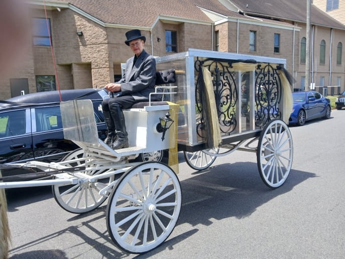 Gallery photo 2 of Seahorse Carriages