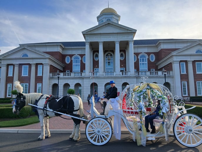 Gallery photo 1 of Seahorse Carriages