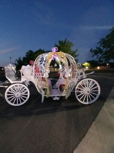 Gallery photo 9 of Seahorse Carriages