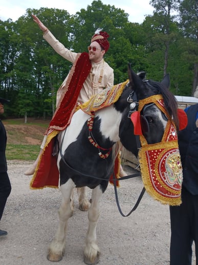 Gallery photo 6 of Seahorse Carriages