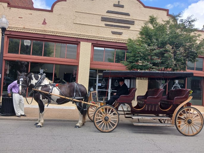Gallery photo 4 of Seahorse Carriages