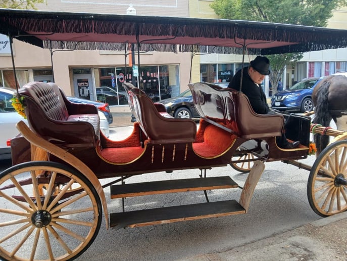 Gallery photo 3 of Seahorse Carriages