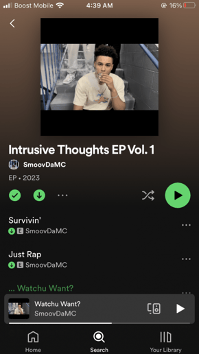 Gallery photo 5 of SmoovDaMC