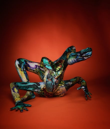 Gallery photo 2 of Snake Woman
