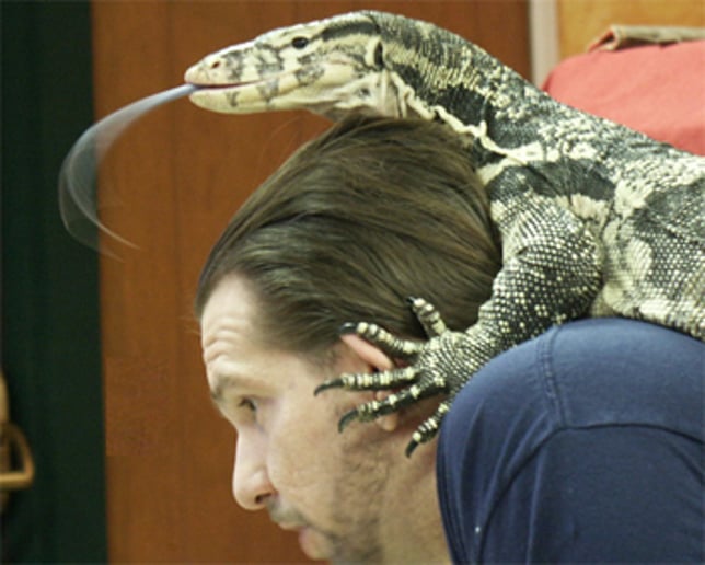Gallery photo 8 of Snakes-N-Scales