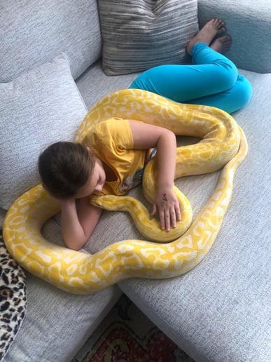 Gallery photo 5 of Snake Encounters