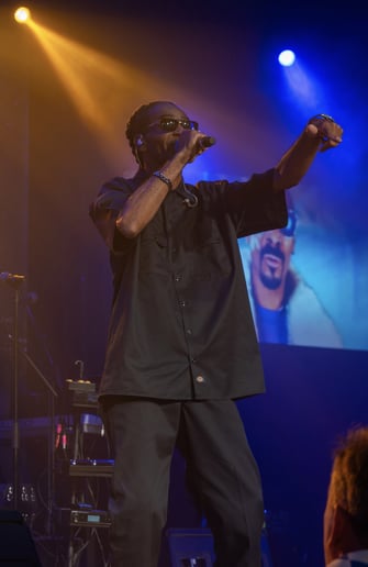 Gallery photo 4 of Snoop Dogg Look Alike