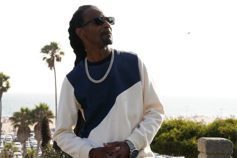 Gallery photo 6 of Snoop Dogg Look Alike