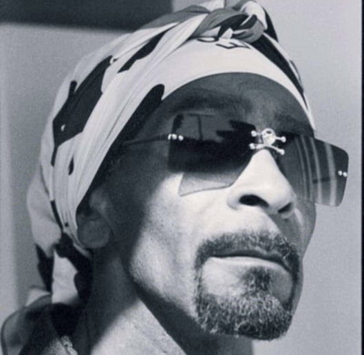 Gallery photo 8 of Snoop Dogg Look Alike