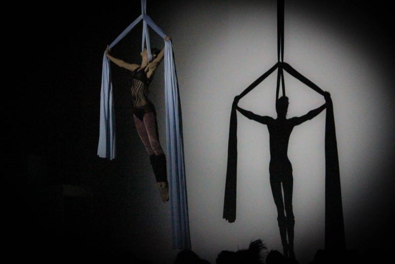 Gallery photo 2 of Soaring Sultress