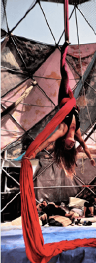Gallery photo 6 of Soaring Sultress