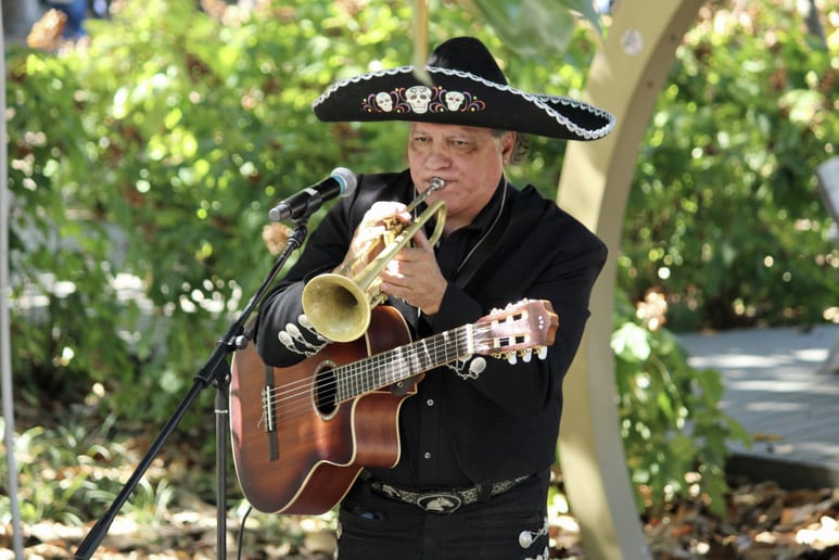 Gallery photo 47 of Luis Trevino Music