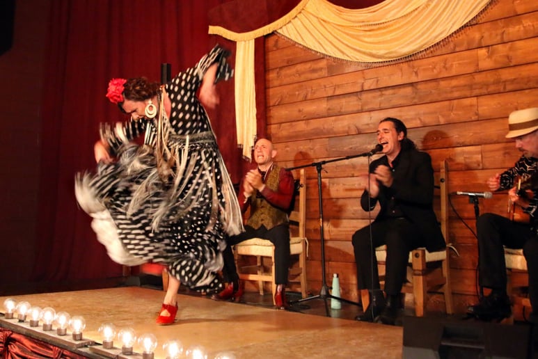 Gallery photo 2 of Sol Flamenco