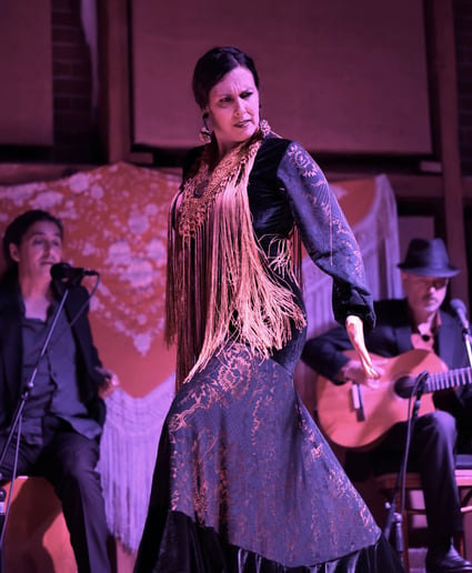Gallery photo 3 of Sol Flamenco