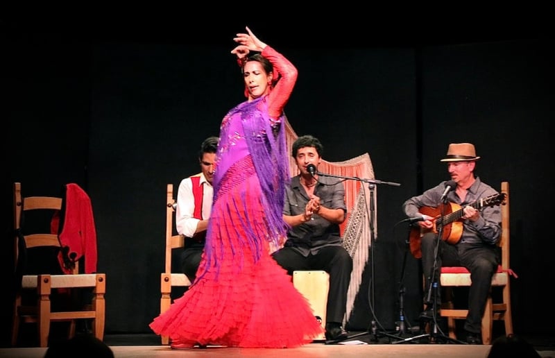 Gallery photo 4 of Sol Flamenco