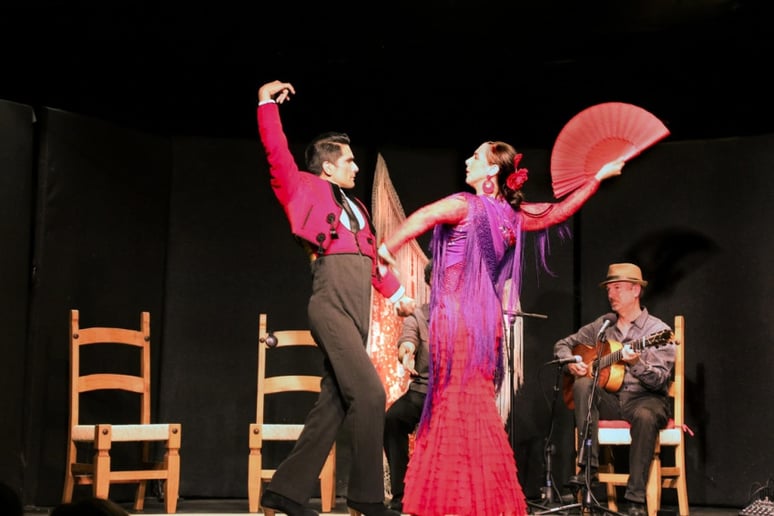 Gallery photo 5 of Sol Flamenco