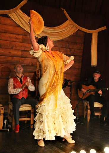 Gallery photo 6 of Sol Flamenco