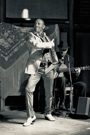 Gallery photo 8 of Sol Flamenco