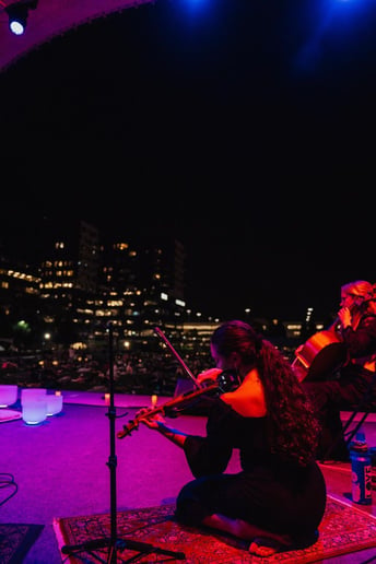 Gallery photo 3 of Solfire Violin