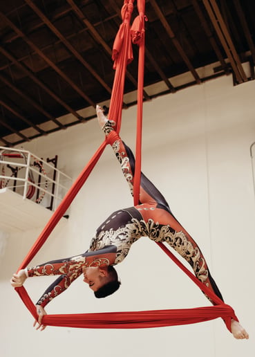 Gallery photo 1 of Solo Aerial Artist