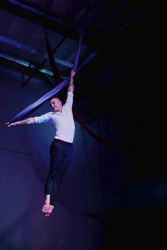 Gallery photo 4 of Solo Aerial Artist
