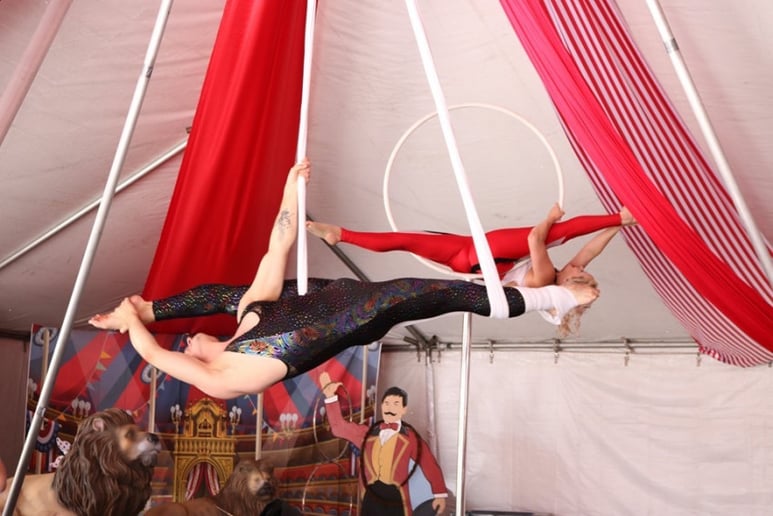 Gallery photo 7 of Solo Aerial Artist