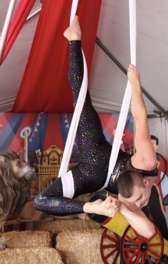 Gallery photo 8 of Solo Aerial Artist