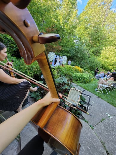 Gallery photo 8 of Solo Cello for your events