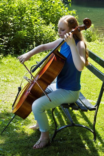 Gallery photo 3 of Solo Cello