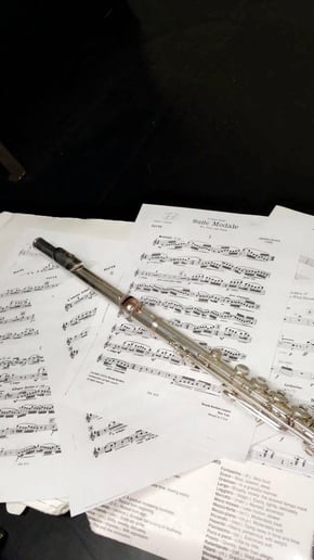 Gallery photo 6 of Solo Flutist