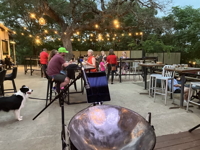 Gallery photo 8 of Steel Pan by Rick